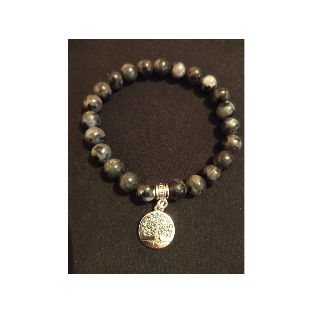 236672061_1005847200213941_3186915635601757531_n