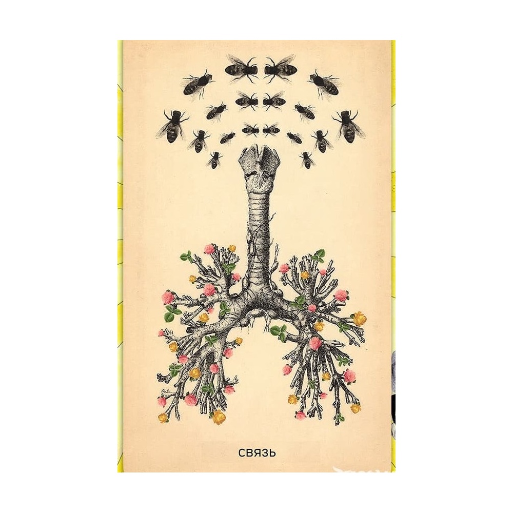 skyelyety-1-1000x1000