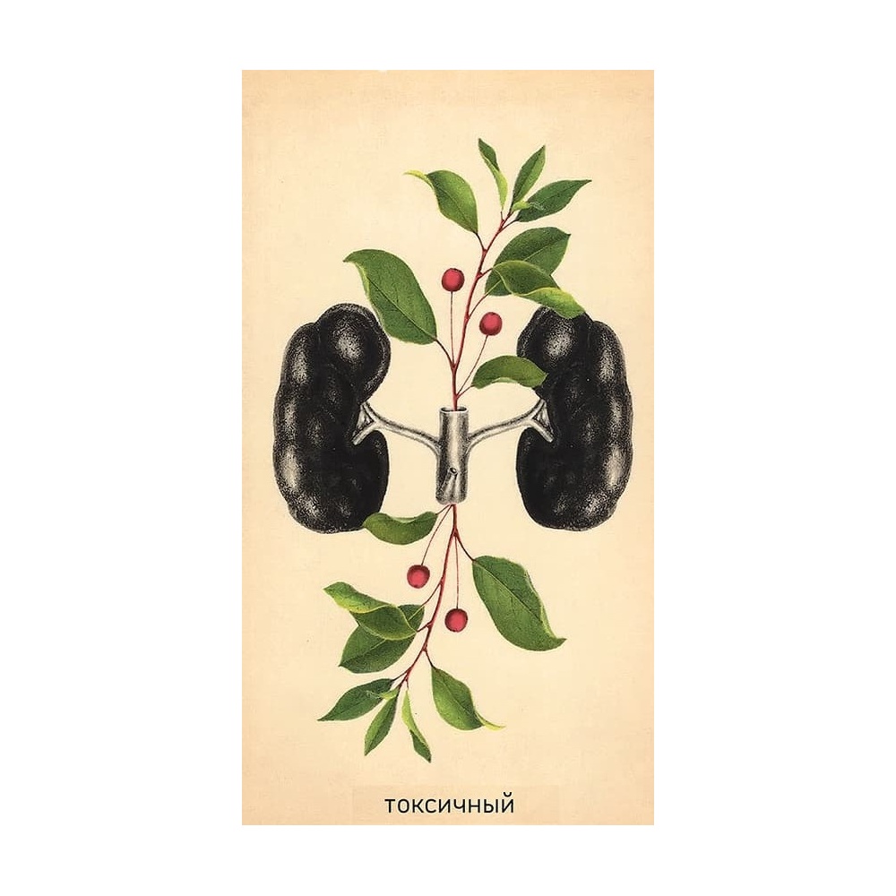 skyelyety-3-1000x1000