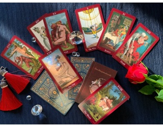 il_1588xn_2023110878_jkoh_584228299