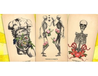 skyelyety-69h120-600x600